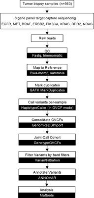 Identifying Actionable Variants Using Capture-Based Targeted Sequencing in 563 Patients With Non-Small Cell Lung Carcinoma